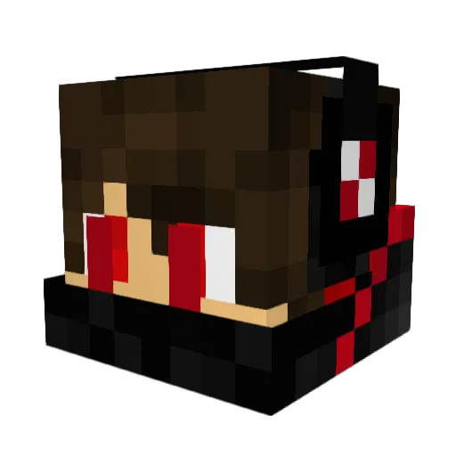 ProBeast6521 Minecraft avatar head, 3D render