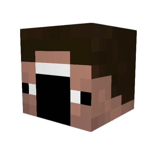 ProBee065 Minecraft avatar head, 3D render
