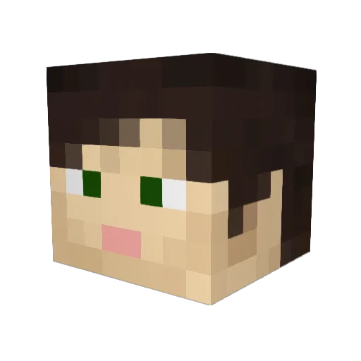 ProCaptain2003 Minecraft avatar head, 3D render