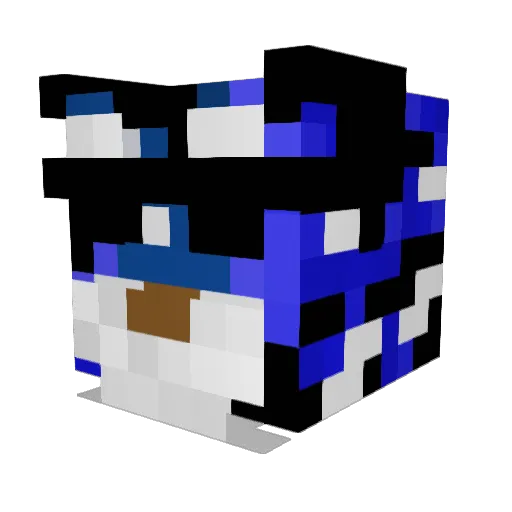 ProCat__ Minecraft avatar head, 3D render