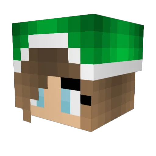 ProChicken74 Minecraft avatar head, 3D render