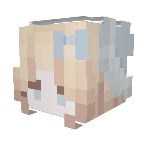 ProCookie1417 Minecraft avatar head, 3D render