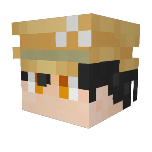 ProCraft1654 Minecraft avatar head, 3D render