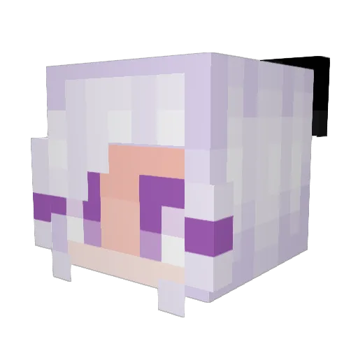 ProCrafter117 Minecraft avatar head, 3D render