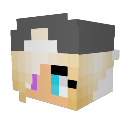 ProCrafter2006 Minecraft avatar head, 3D render
