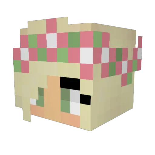 ProCuddlyPanda Minecraft avatar head, 3D render
