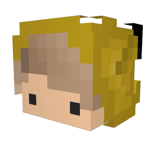 ProDragon05 Minecraft avatar head, 3D render