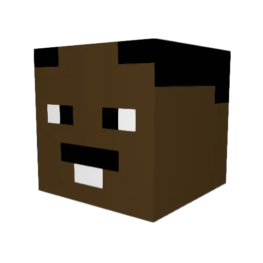 ProEfe31 Minecraft avatar head, 3D render