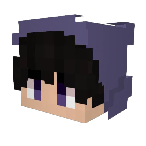 ProGamer194814 Minecraft avatar head, 3D render