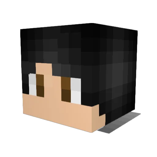 ProGamer3027 Minecraft avatar head, 3D render
