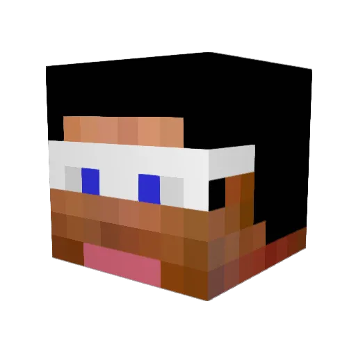 ProGamerNetwork Minecraft avatar head, 3D render