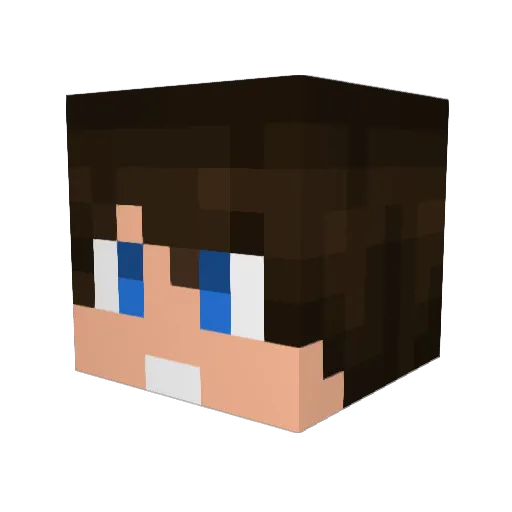 ProGamer_Jim Minecraft avatar head, 3D render