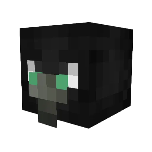 ProGamerboy567 Minecraft avatar head, 3D render