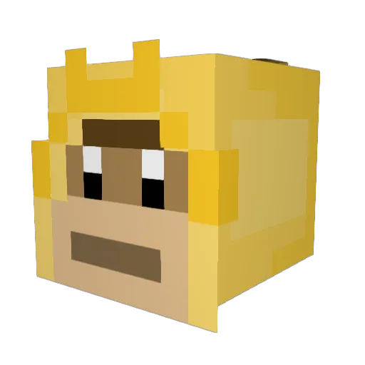 ProGio07 Minecraft avatar head, 3D render