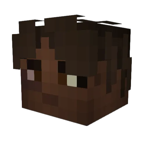 ProHater Minecraft avatar head, 3D render