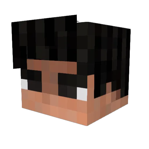 ProHunterHD Minecraft avatar head, 3D render