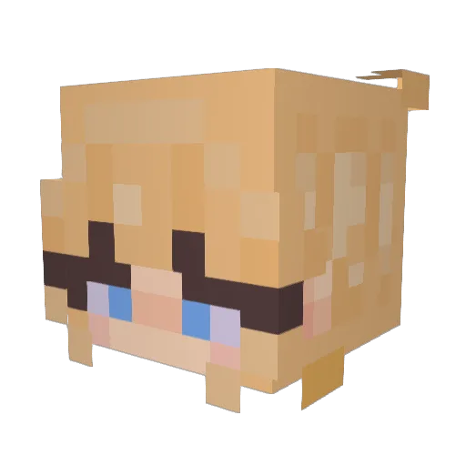 ProKitty64 Minecraft avatar head, 3D render