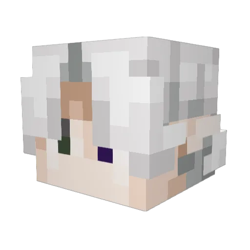 ProKuczi123 Minecraft avatar head, 3D render