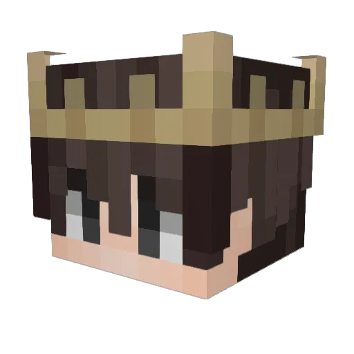 ProManekraft041 Minecraft avatar head, 3D render