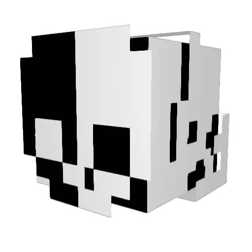 ProMaster20 Minecraft avatar head, 3D render