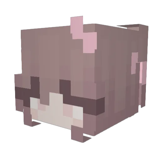 ProMinecrafter31 Minecraft avatar head, 3D render