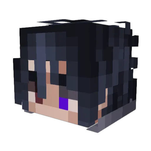 ProParrot Minecraft avatar head, 3D render