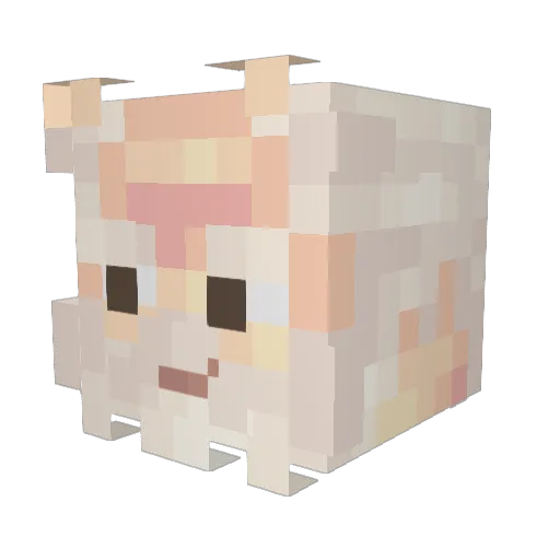 ProPena6666 Minecraft avatar head, 3D render