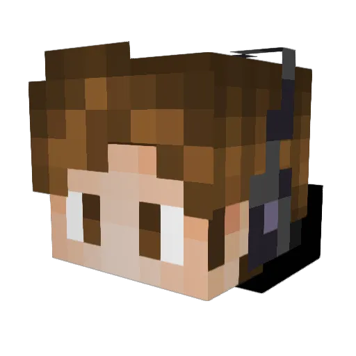 ProPlayerTR31 Minecraft avatar head, 3D render