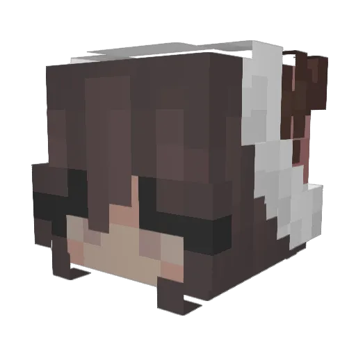 ProQueenPark Minecraft avatar head, 3D render