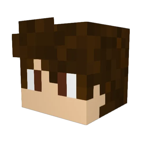 ProSchmoo Minecraft avatar head, 3D render