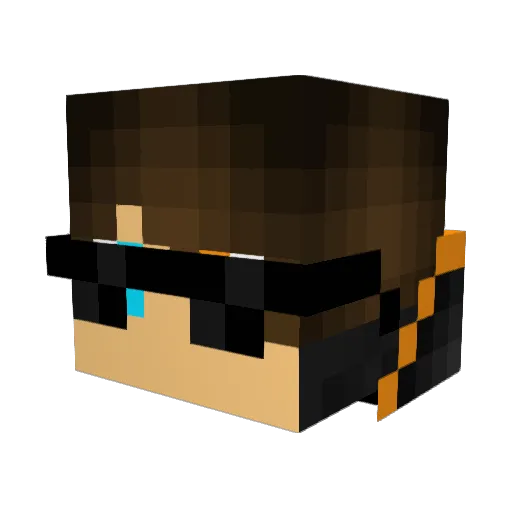ProSkilzZ_ Minecraft avatar head, 3D render