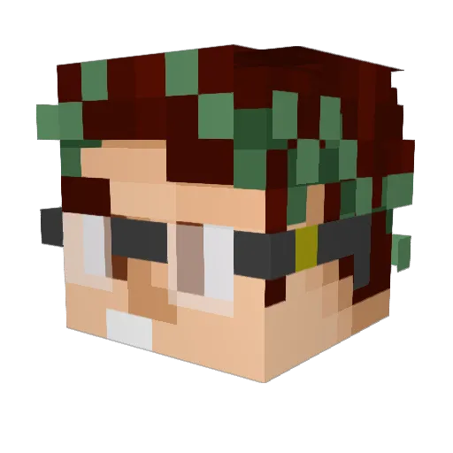 ProTuga Minecraft avatar head, 3D render