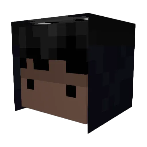 ProVibes Minecraft avatar head, 3D render