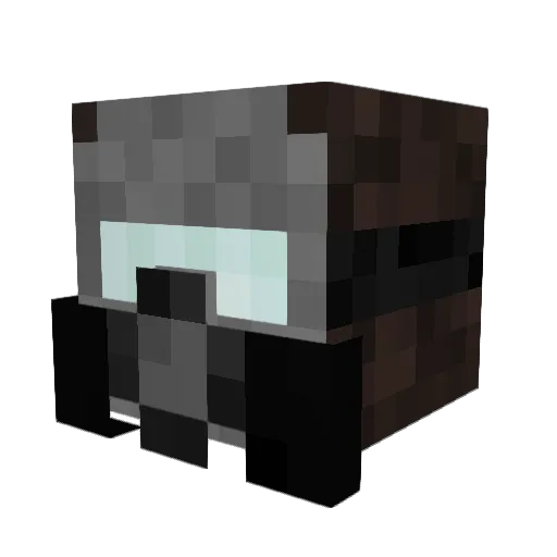 ProWallHopper Minecraft avatar head, 3D render