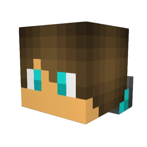 ProWithDiamonds Minecraft avatar head, 3D render