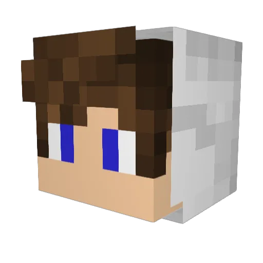 ProXy2 Minecraft avatar head, 3D render