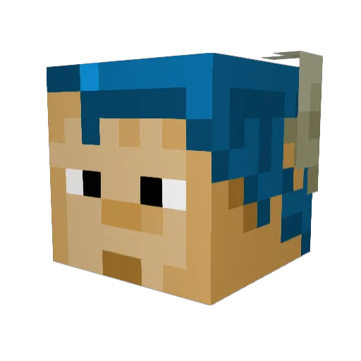 Pro_2684 Minecraft avatar head, 3D render