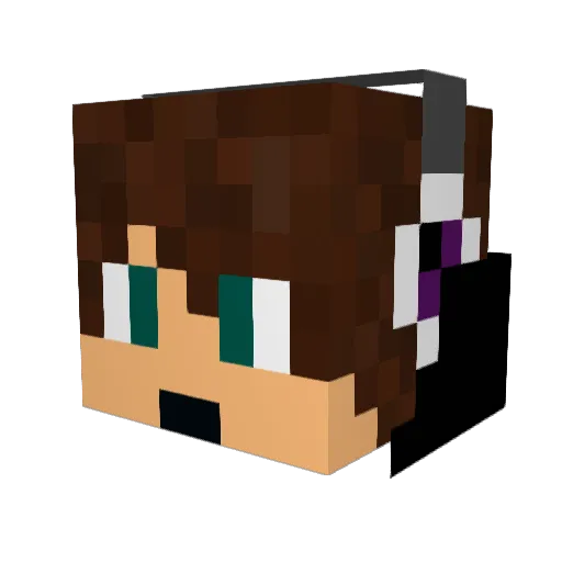 Pro_Davey_Boy Minecraft avatar head, 3D render