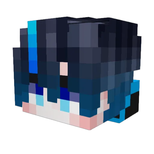 Pro_Fessional Minecraft avatar head, 3D render