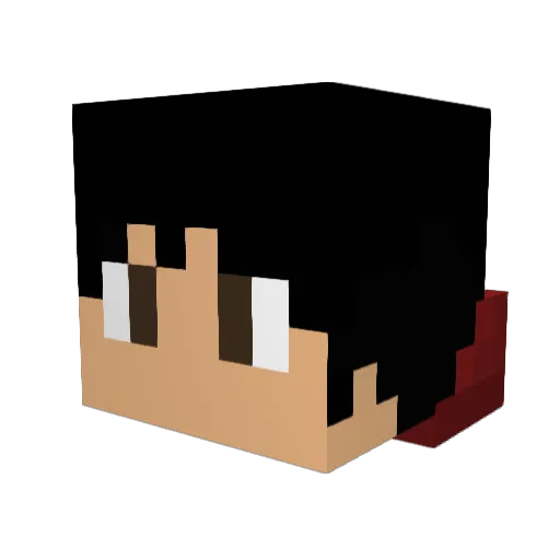 Pro_GamerH Minecraft avatar head, 3D render