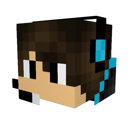 Pro_Gamer_Boy420 Minecraft avatar head, 3D render