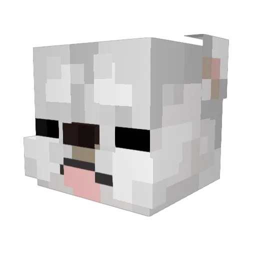 Pro_Lawry Minecraft avatar head, 3D render