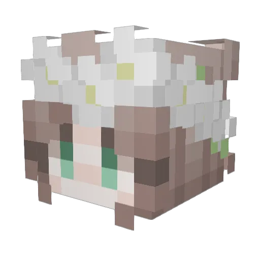 Pro_TatoGamer Minecraft avatar head, 3D render