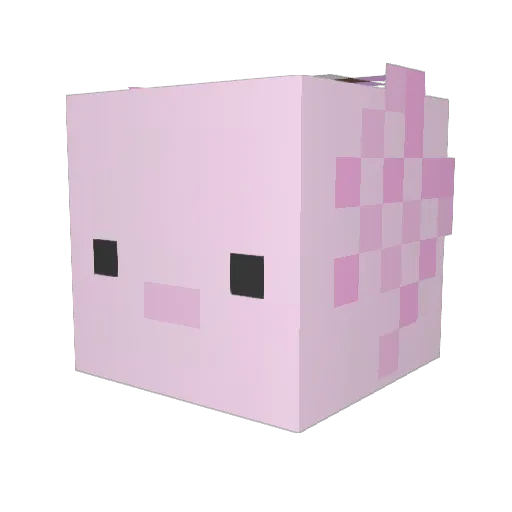 Pro_Turtle24 Minecraft avatar head, 3D render