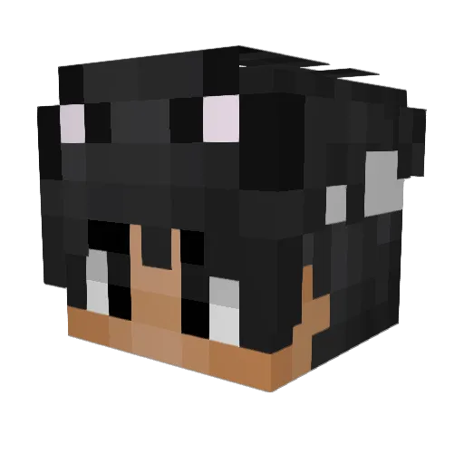 Pro_Vaping Minecraft avatar head, 3D render