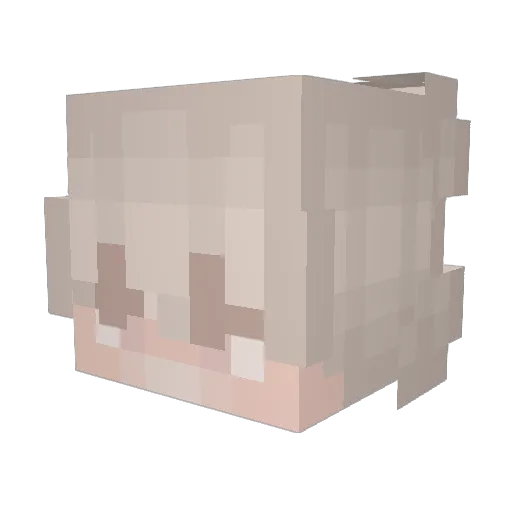 Pro__tin Minecraft avatar head, 3D render