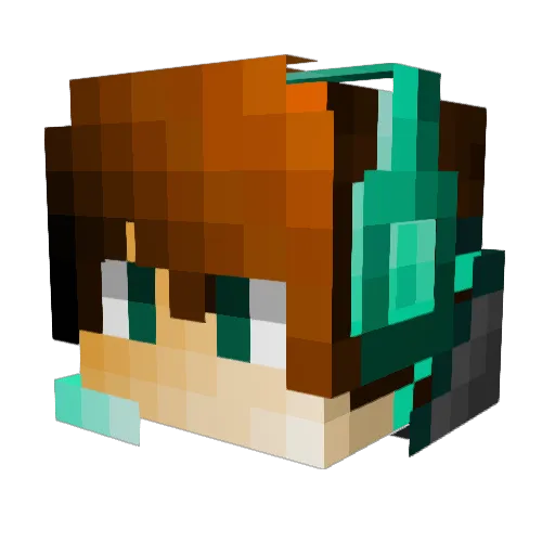 Pro_farmer_14 Minecraft avatar head, 3D render