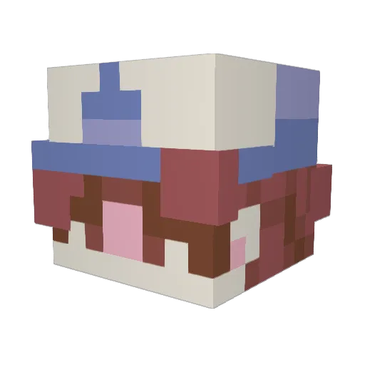 Pro_gamer44863 Minecraft avatar head, 3D render