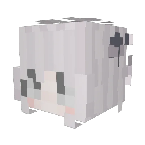 Pro_vence Minecraft avatar head, 3D render
