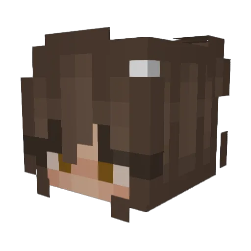 ProbablyNovan Minecraft avatar head, 3D render